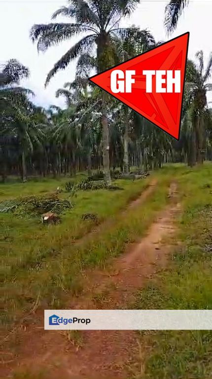 20.78 acres | Sungai Siput | Kuala Kangsar | Perak 2.75psf, Perak, Kuala Kangsar