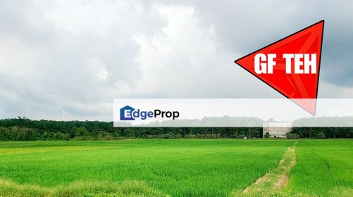 1.71 acre Paddy Field Padang Meha Kulim RM6psf, Kedah, Kulim