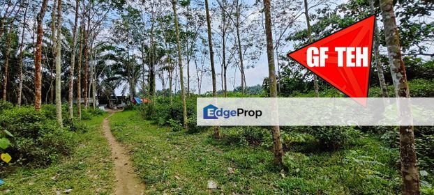 2.236 Acres | Agricultural Land | Bandar Baharu | Selama | Kedah t, Kedah, Serdang