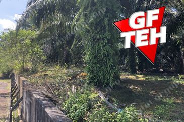 10.92 Acres | Agricultural land | Kulim | Kedah Rm17psf dn