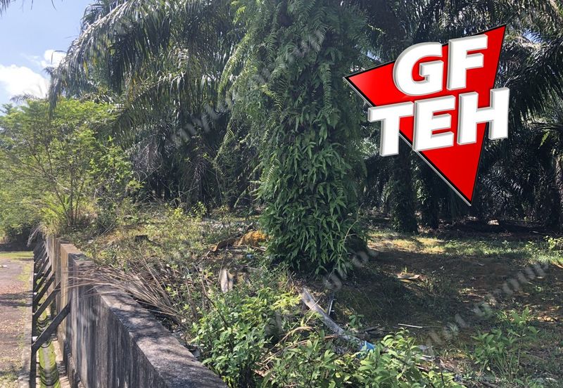 10.92 Acres | Agricultural land | Kulim | Kedah Rm17psf dn