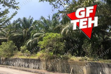 10.92 Acres | Agricultural land | Kulim | Kedah Rm17psf dn