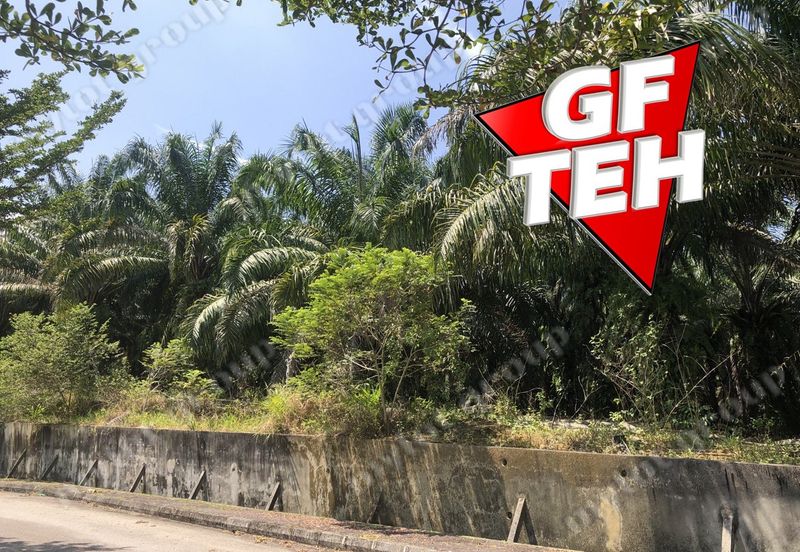 10.92 Acres | Agricultural land | Kulim | Kedah Rm17psf dn