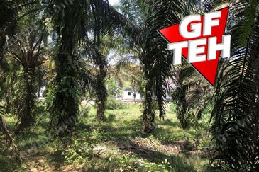 10.92 Acres | Agricultural land | Kulim | Kedah Rm17psf dn