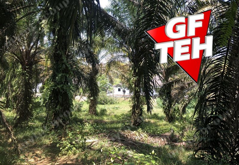 10.92 Acres | Agricultural land | Kulim | Kedah Rm17psf dn