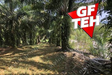 10.92 Acres | Agricultural land | Kulim | Kedah Rm17psf dn