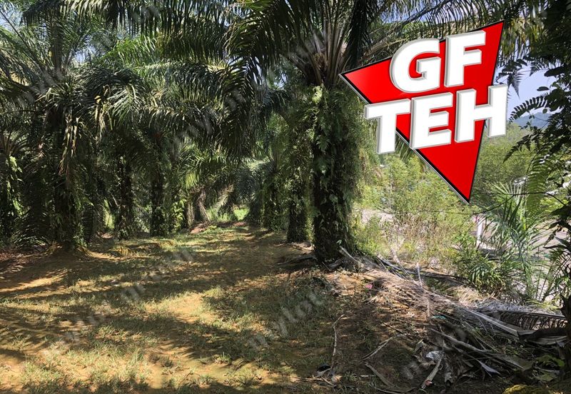 10.92 Acres | Agricultural land | Kulim | Kedah Rm17psf dn