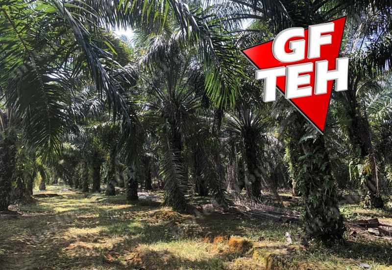 10.92 Acres | Agricultural land | Kulim | Kedah Rm17psf dn