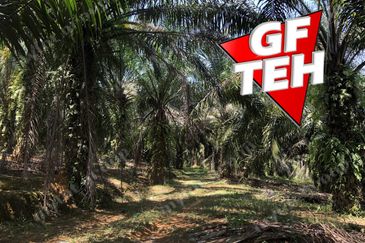 10.92 Acres | Agricultural land | Kulim | Kedah Rm17psf dn