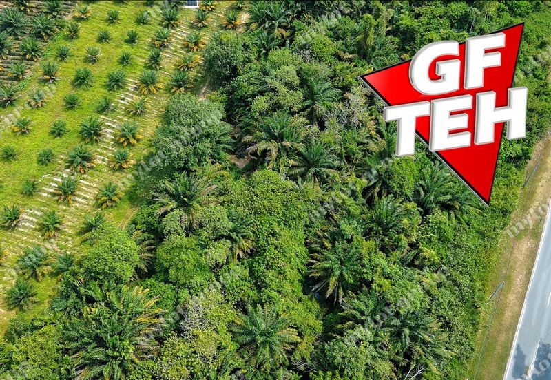 KAMPUNG BARU JUNJONG