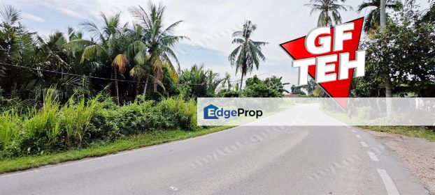 Rare 1.59 acres Flat land | Karangan | Kedah k, Kedah, Kulim
