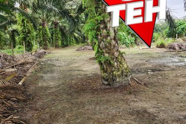 3.7 acres 3 Big Fish Ponds with Extra Land | Nibong Tebal | Penang b
