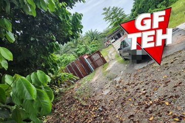3.7 acres 3 Big Fish Ponds with Extra Land | Nibong Tebal | Penang b