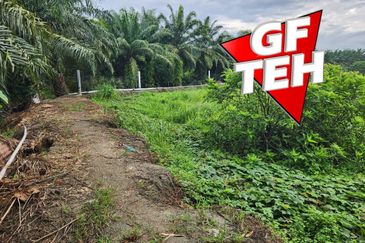 3.7 acres 3 Big Fish Ponds with Extra Land | Nibong Tebal | Penang b
