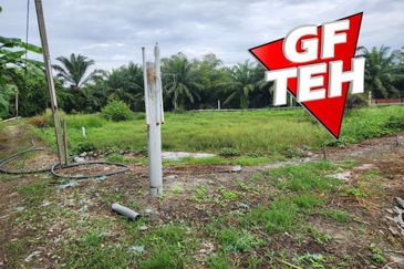 3.7 acres 3 Big Fish Ponds with Extra Land | Nibong Tebal | Penang b