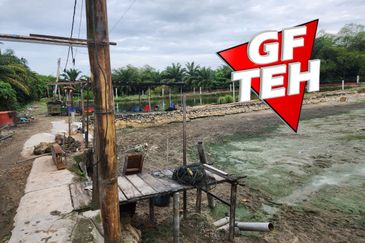 3.7 acres 3 Big Fish Ponds with Extra Land | Nibong Tebal | Penang b