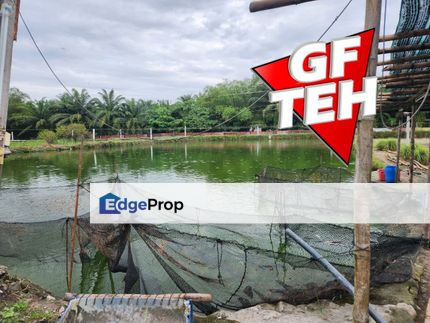 3.7 acres 3 Big Fish Ponds with Extra Land | Nibong Tebal | Penang  Rm14psf b, Penang, Nibong Tebal