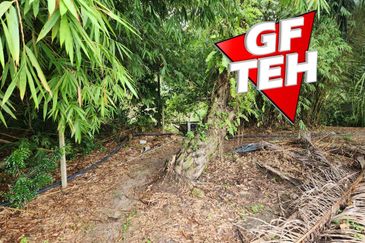 3.7 acres 3 Big Fish Ponds with Extra Land | Nibong Tebal | Penang b