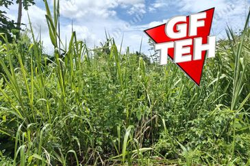 Kubang Semang Penang