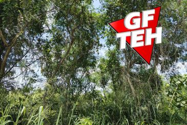 Kubang Semang Penang