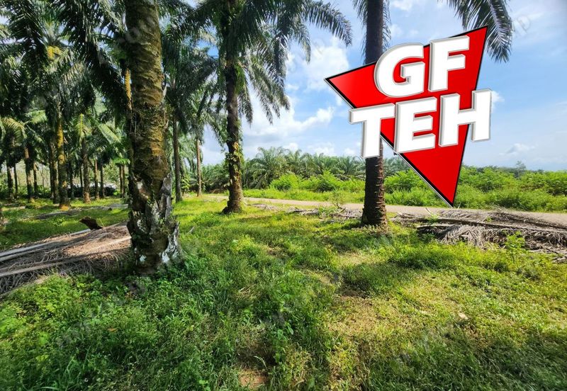 Jalan Pendang-Tanah Merah