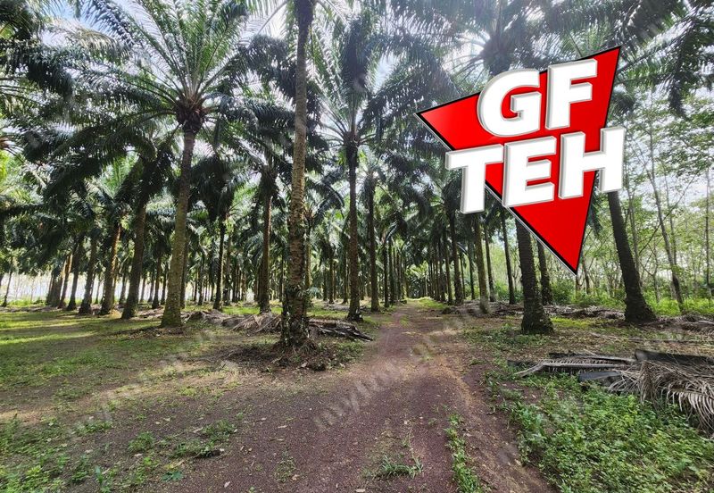 Jalan Pendang-Tanah Merah