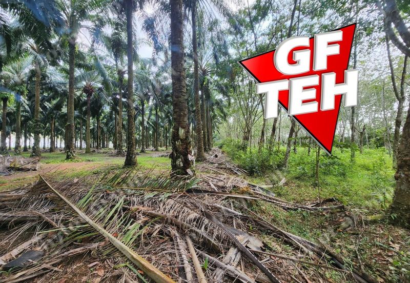 Jalan Pendang-Tanah Merah