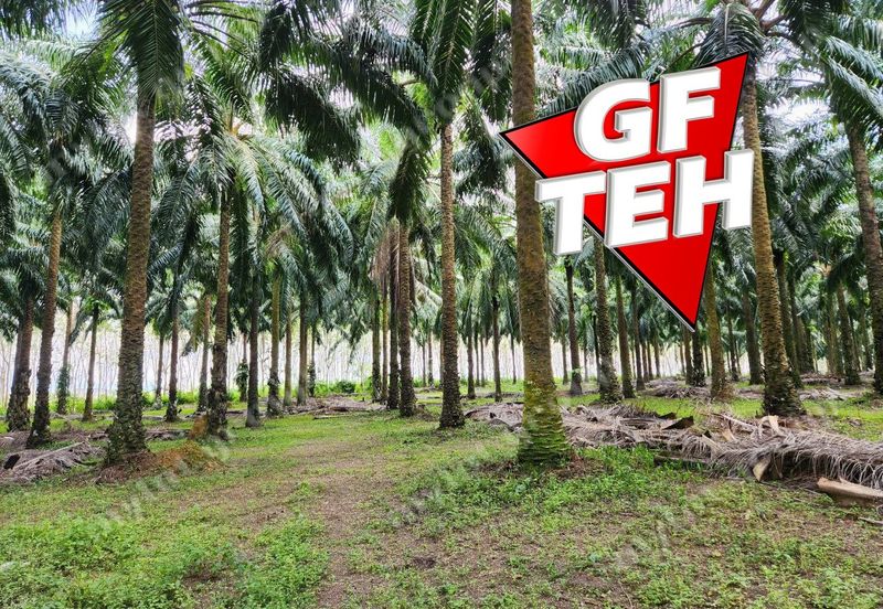 Jalan Pendang-Tanah Merah