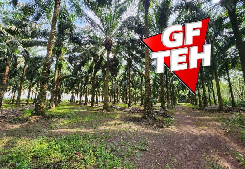 Jalan Pendang-Tanah Merah