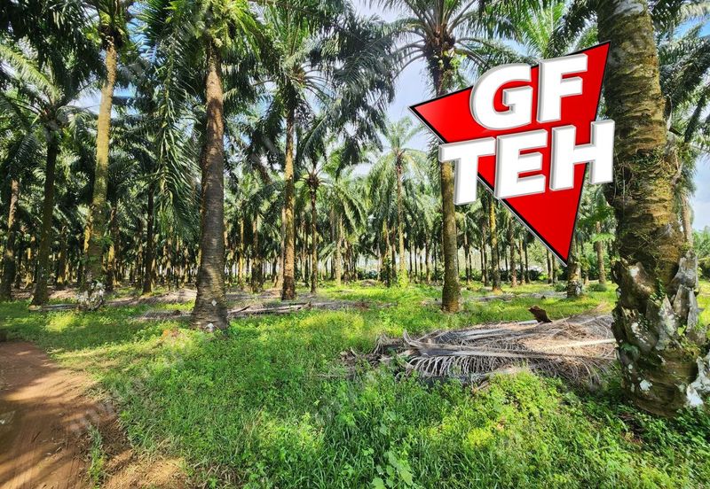 Jalan Pendang-Tanah Merah