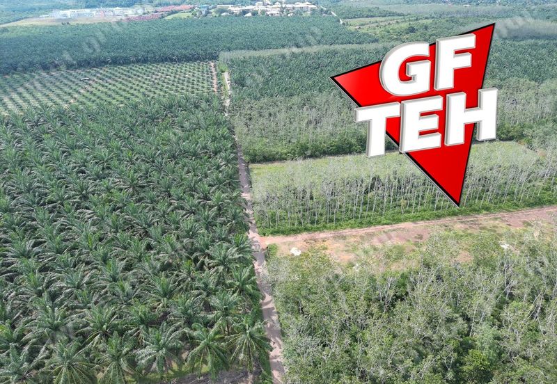 Jalan Pendang-Tanah Merah