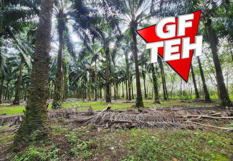 Jalan Pendang-Tanah Merah