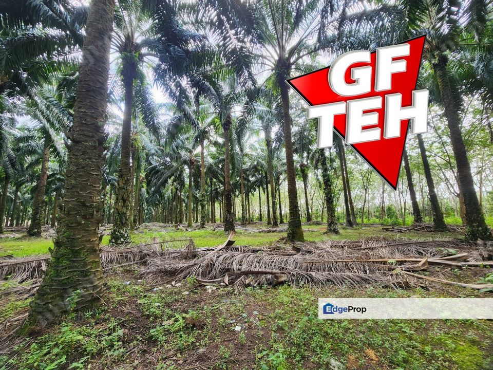 24.565 Relung | Agricultural Land | Pendang | Kedah Rm3.23psf b, Kedah, Pendang