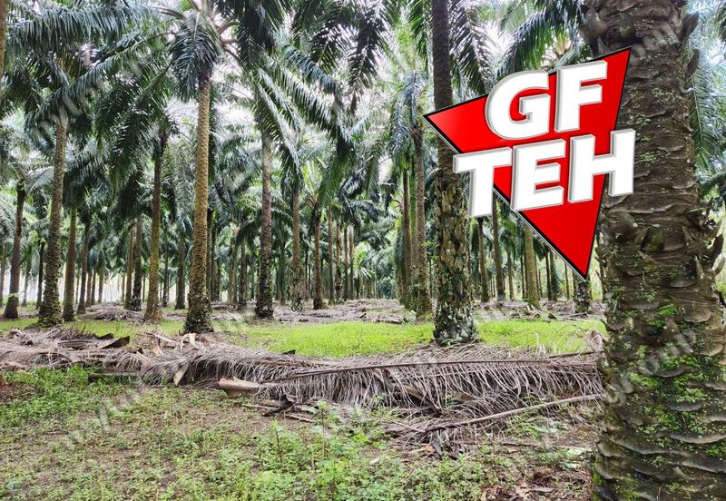 Jalan Pendang-Tanah Merah