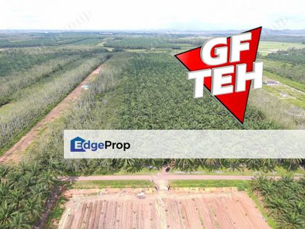 24.565 Relung | Agricultural Land | Pendang | Kedah Rm3.23psf  b, Kedah, Pendang