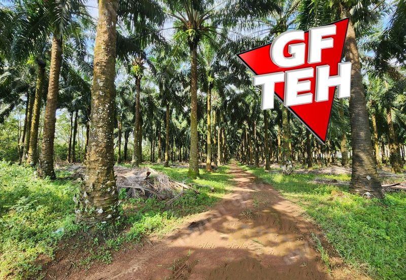 Jalan Pendang-Tanah Merah