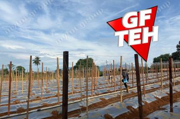 Kampung Baru, Sungai Lalang