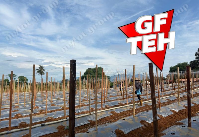 Kampung Baru, Sungai Lalang