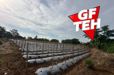 Kampung Baru, Sungai Lalang