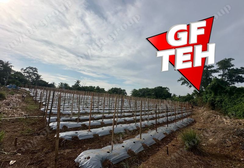 Kampung Baru, Sungai Lalang