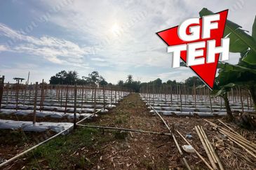 Kampung Baru, Sungai Lalang