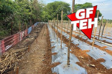 Kampung Baru, Sungai Lalang