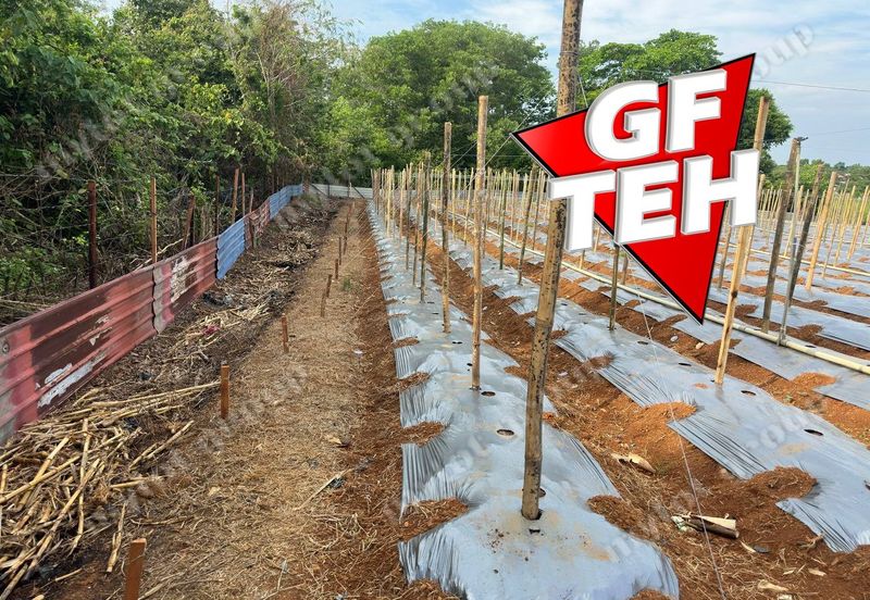 Kampung Baru, Sungai Lalang