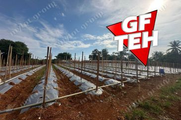 Kampung Baru, Sungai Lalang