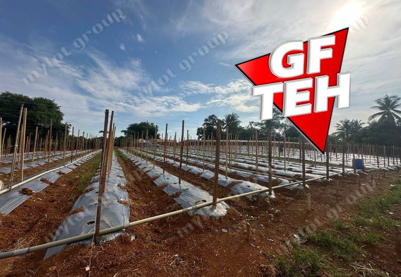 Kampung Baru, Sungai Lalang