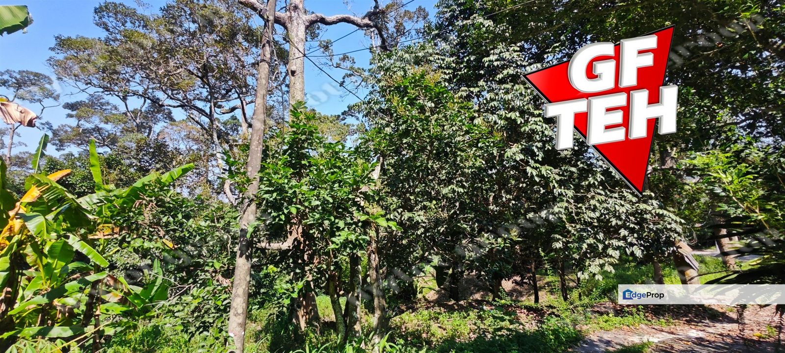 2.84 acres Durian Farm | Good Location | Perfect for planning retirement life Rm42psf, Penang, Balik Pulau