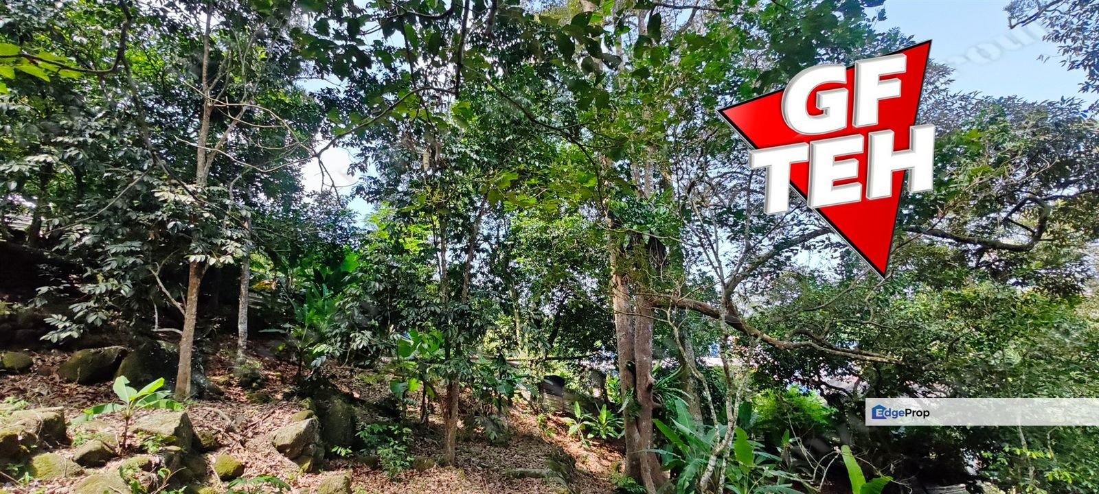 2.84 acres Durian Farm | Good Location | Perfect for planning retirement life Rm42psf, Penang, Balik Pulau