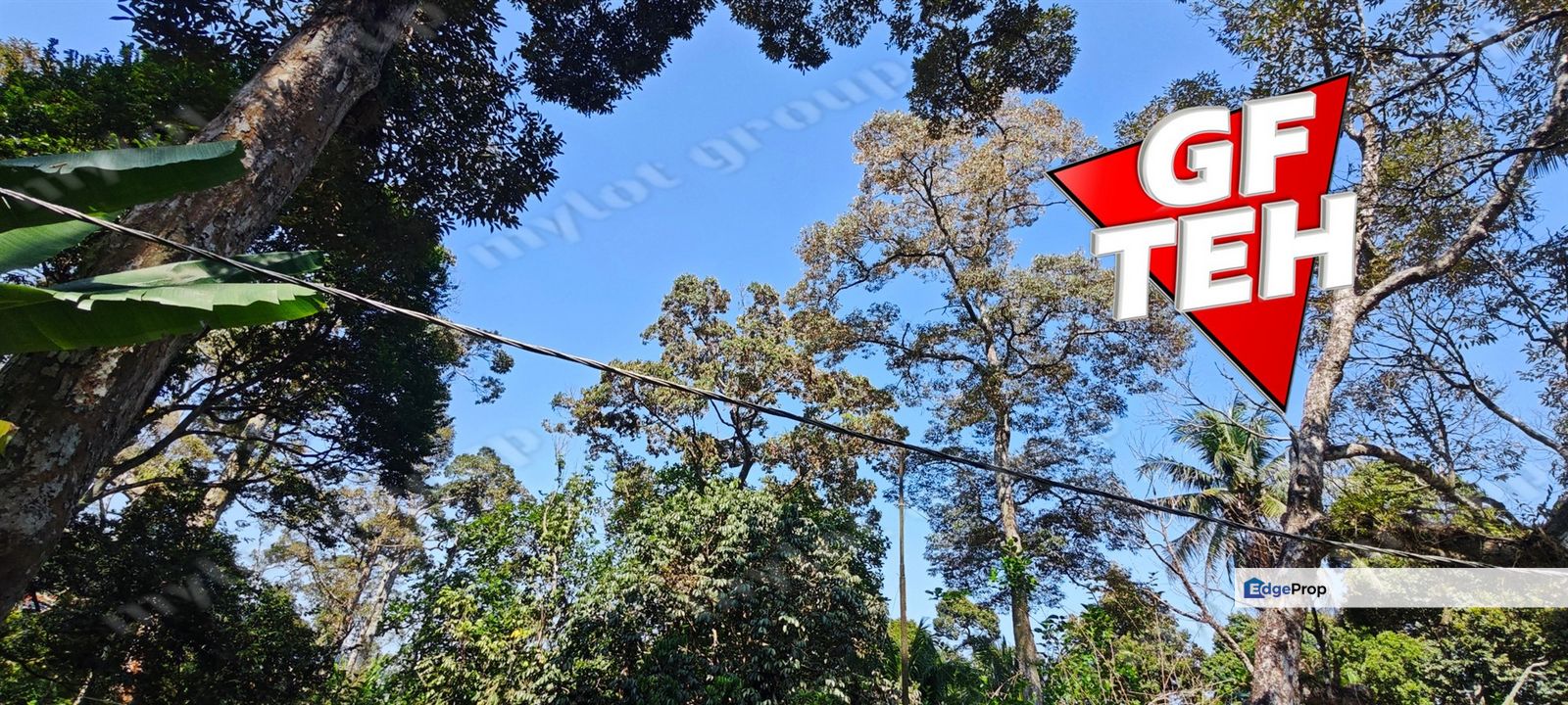 2.84 acres Durian Farm | Good Location | Perfect for planning retirement life Rm42psf, Penang, Balik Pulau