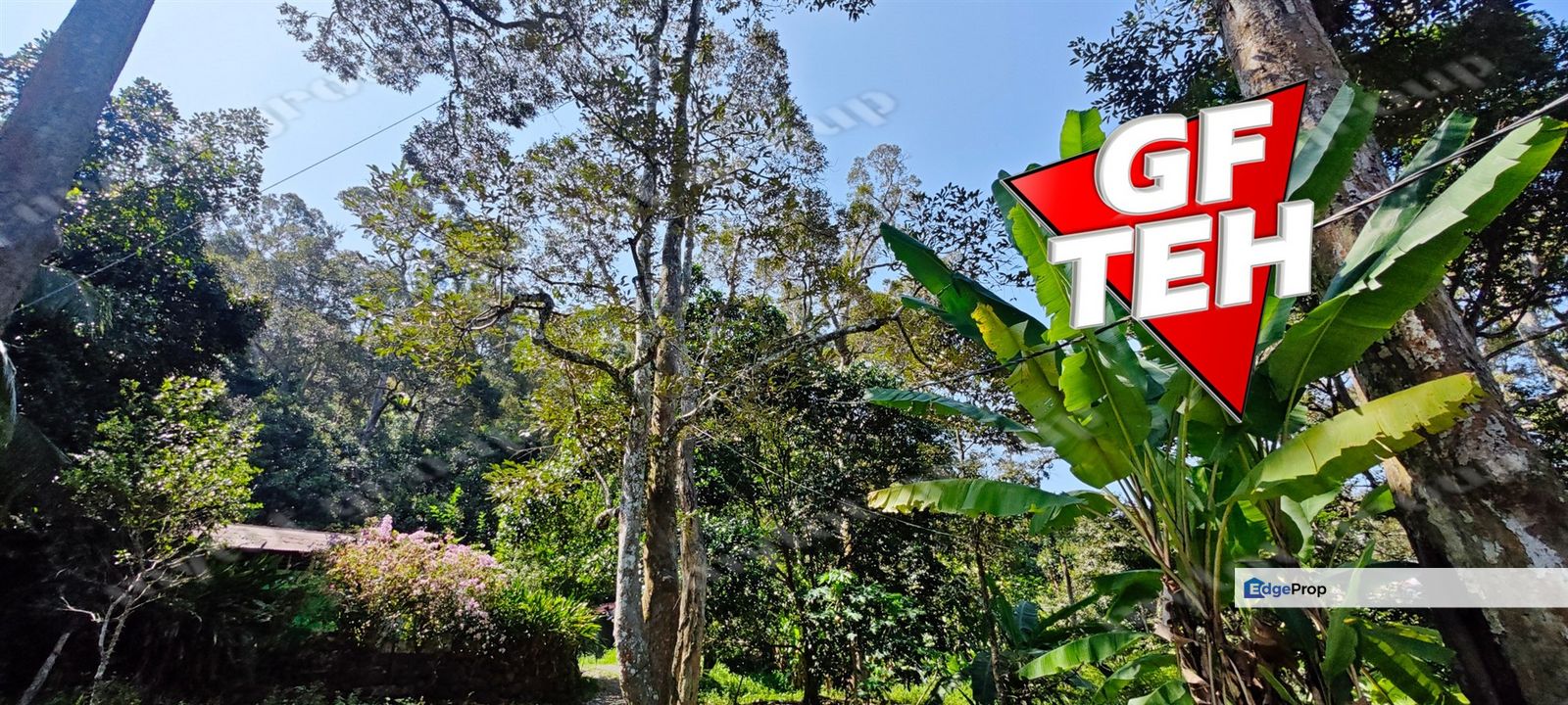 2.84 acres Durian Farm | Good Location | Perfect for planning retirement life Rm42psf, Penang, Balik Pulau