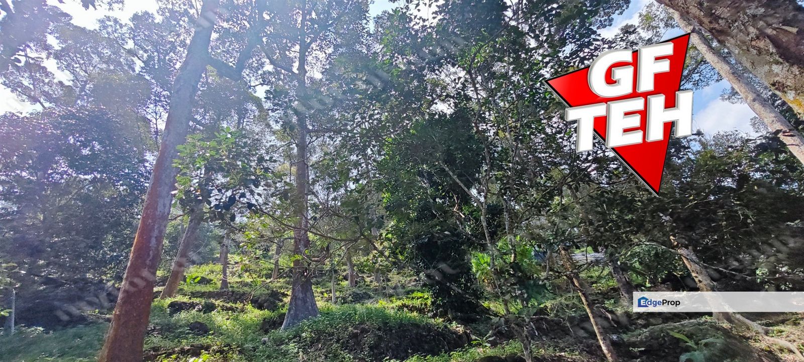 2.84 acres Durian Farm | Good Location | Perfect for planning retirement life Rm42psf, Penang, Balik Pulau